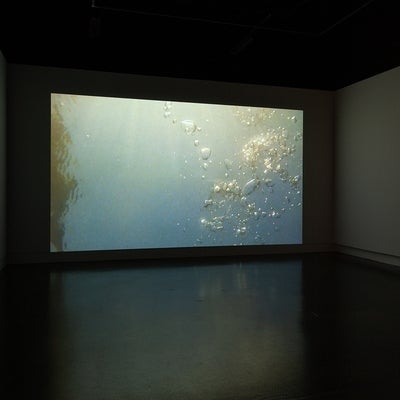 Video in dark gallery. Video show air bubbles rising through water, blue-grey water at bottom which it lit by sun at top