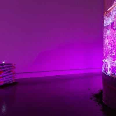 Installation in gallery with magenta lighting. A digital projector sitting on bags of earth projects abstract image on plastic