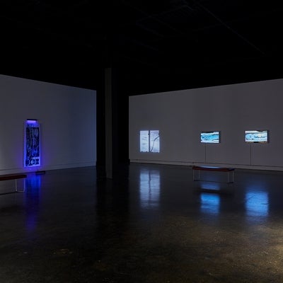 Art gallery installation of light boxes and large scale prints, some lit by ultraviolet light, of distorted medical scans.