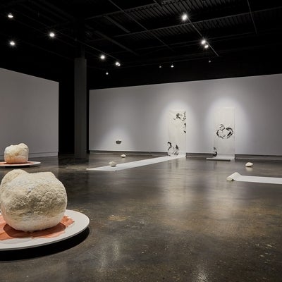 Art gallery installation of large spherical fabric sculptures on circular platforms and charcoal drawings on large scrolls that are hung on the wall and unroll onto the floor.