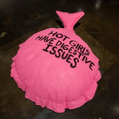 Floor installation of a large pink whoopie cushion with the text "hot girls have digestive issues" in black.