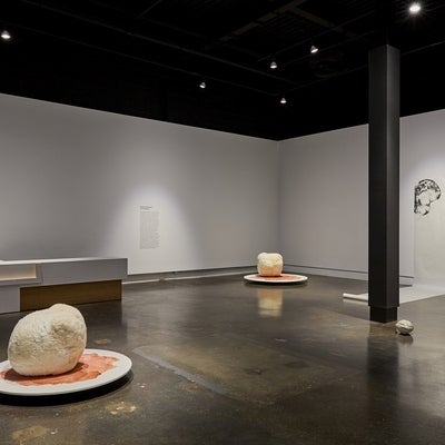 Art gallery installation of large spherical fabric sculptures on circular platforms and charcoal drawings on large scrolls that are hung on the wall and unroll onto the floor.