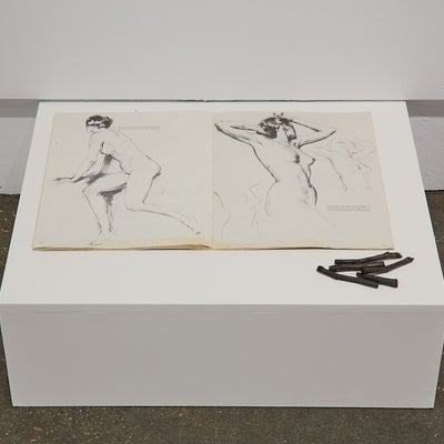A vintage figure drawing manual and sticks of charcoal on a low platform.