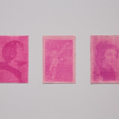 Three blurred, bright pink photographic reproductions include two portraits and a child stretching to pick fruit.