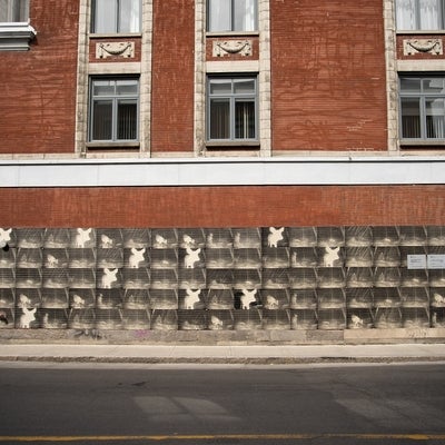  Art installation of 95 photos from a night time trail camera showing deer and a person pasted on an older brick building