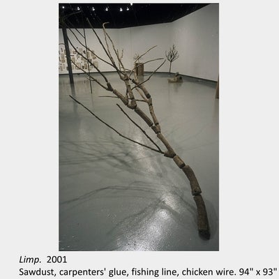 Artwork by Michael Ambedian. Limp. 2001. Sawdust, carpenters' glue, fishing line, chicken wire. 94" x 93" x 150"