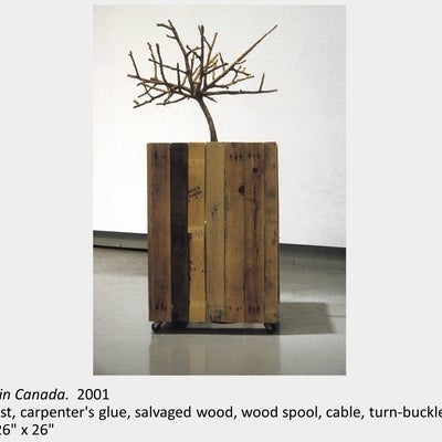 Artwork by Michael Ambedian. Made in Canada. 2001. Sawdust, carpenter's glue, salvaged wood, wood spool, cable, turn-buckles.