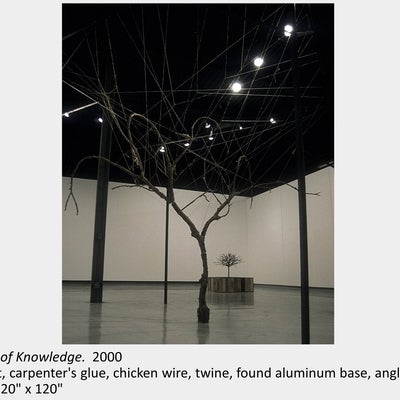 Artwork by Michael Ambedian. Poverty of Knowledge. 2000. Sawdust, carpenter's glue, chicken wire, twine, found aluminum base.