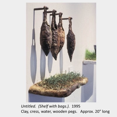 Artwork by Carol Bradley. Untitled. (Shelf with bags.). 1995. Clay, cress, water, wooden pegs. Approx. 20" long