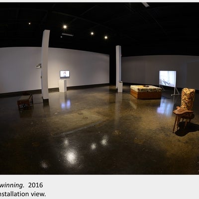 Marianne Burlew's artwork Twinning, 2016. installation view.