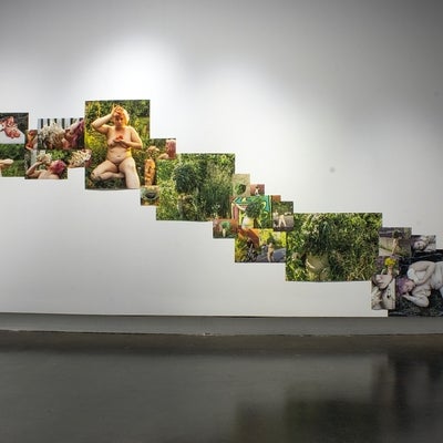 A room in a gallery with an installation of collaged photos of mushrooms and female figures, some nude and some in a plant costume. The photos are arranged in a stepped pattern going across and down the wall.