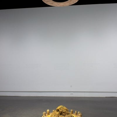 On the concrete floor in the center of the room in a circular wooden base, painted gold and filled with wood-chips surrounded by potatoes. A second chipboard circle is suspended from the ceiling. On the back wall, lines of hand printed text are just barely visible.