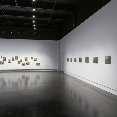 Exhibition of paintings showing two walls of a gallery. Wall on right has seven small landscape paintings hung in a row. Wall on the left features various sized painting of tree stumps hung in a irregular fashion.
