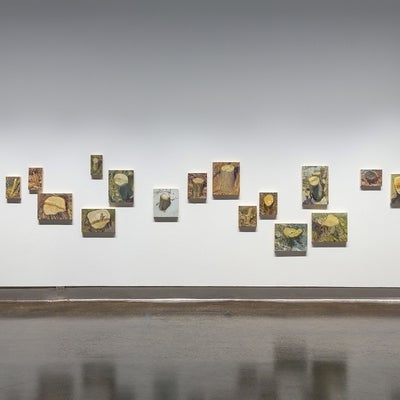 Eighteen paintings depicting tree stumps are hung in a irregular pattern on a gallery wall. 