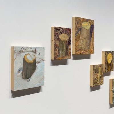 Detail view showing eight paintings depicting tree stumps, hung in a irregular pattern on a gallery wall.