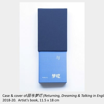 Brubey Hu's artwork "Case and cover of回与梦呓 (Returning, Dreaming & Talking in English), 2018-2020, artist’s book, 11.5 x 18 cm