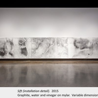 Artwork by Sarah Kernohan. Sift (installation view). 2015. Graphite, water and vinegar on mylar. Variable dimensions.