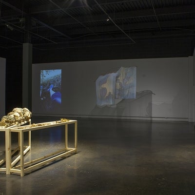 A darken art gallery with two narrow wood tables in the center of the room holding balls of dried organic material.  Behind this is a video projection of two legs in perspective lying on the grass and two hanging sheer curtains with an organic leaf print.