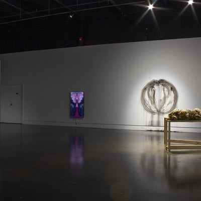 A darken art gallery with two hanging sheer curtains with an organic leaf print; a video with mirrored upside-down portrait of the artist talking to herself, in which her nose and mouth appear to be fused; a charcoal drawing on the wall made with sweeping arm motions and a narrow wood table holding balls of dried organic material.