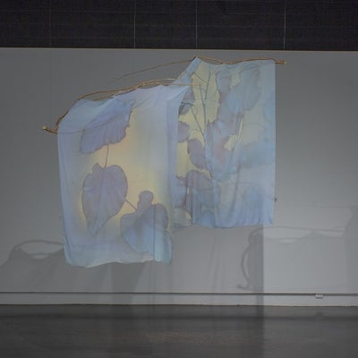 A darken art gallery with two sheer curtains with an organic leaf print in blues and yellows hang from tree branches suspended from the ceiling.
