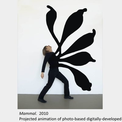 Artwork by Dyan Marie. Mammal. 2010. Projected animation of photo-based digitally-developed images.