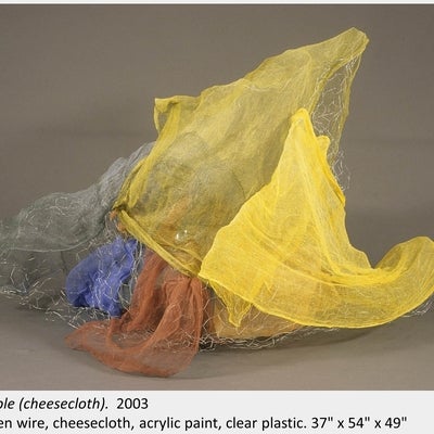 Artwork by Michael Murphy. crumple (cheesecloth). 2003. Chicken wire, cheesecloth, acrylic paint, clear plastic. 37" x 54" x 49"