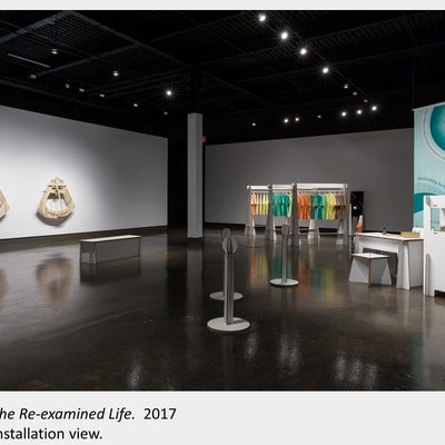 Artwork by Denise St Marie and Timothy Walker, The Re-examined Life - installation view, 2017