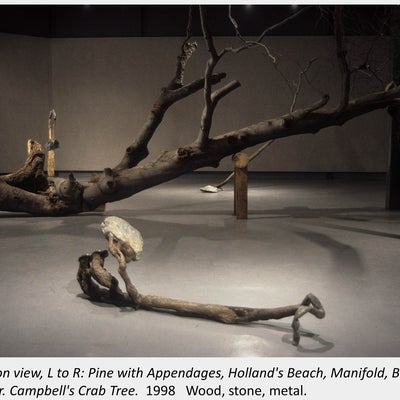 Artwork by Chris Stones. Installation view, L to R: Pine with Appendages, Holland's Beach, Manifold, Broken Arrow, Mr. Campbell