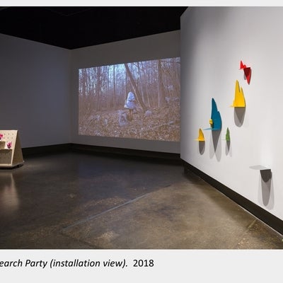 Artwork by Tait Wilman. Search Party (installation view), 2018, video and mixed media installation.