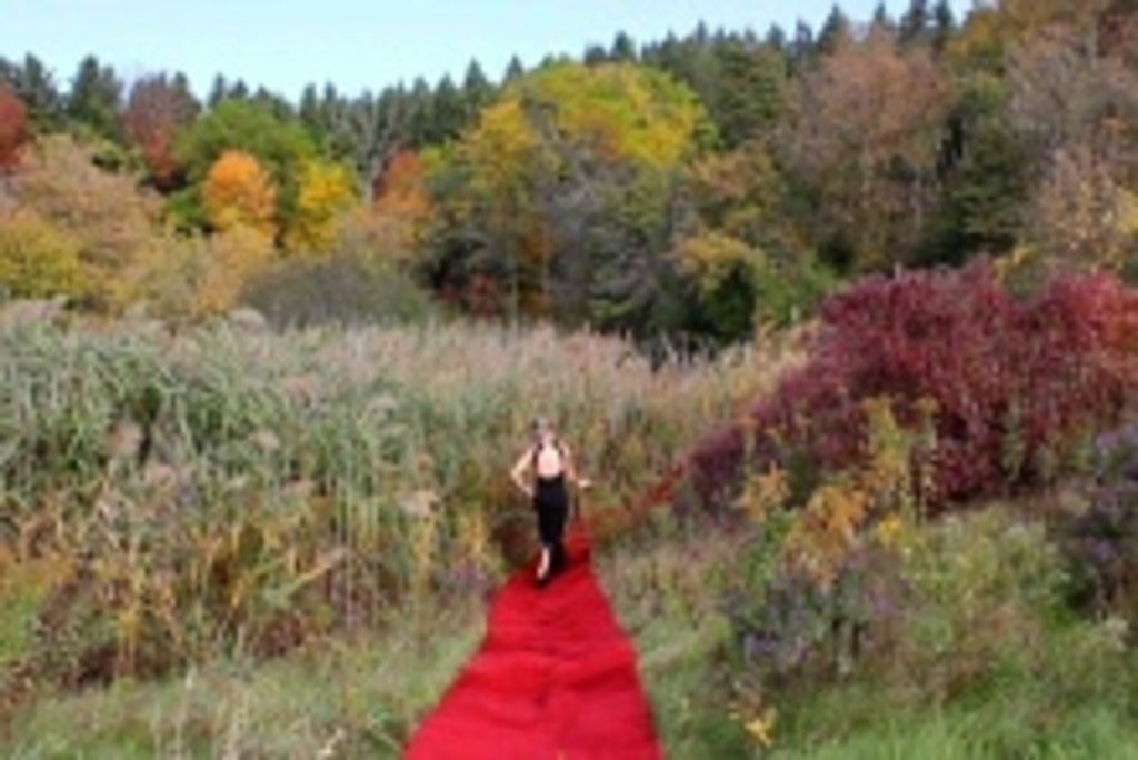 Still from Red Carpet video