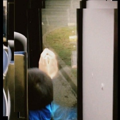 Seen from behind, a person rests their head against a bus window.