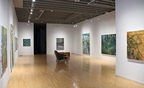 Doug Kirton exhibition in Michael Gibson Gallery