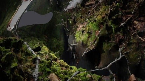 Video still of a distorted and stretched peat bog landscape.