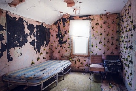 A derelict bedroom in an abandoned farmhouse with yellow coneflowers taped onto worn pink wallpaper.