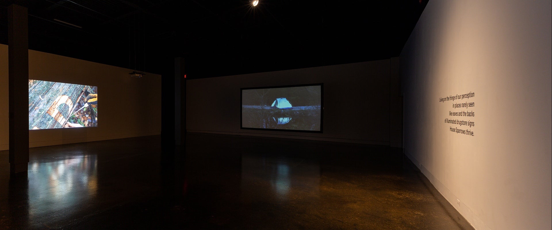 Video exhibition in dark gallery.  Video on left shows hands carving letter "D", back wall video of glowing blue tent by water.