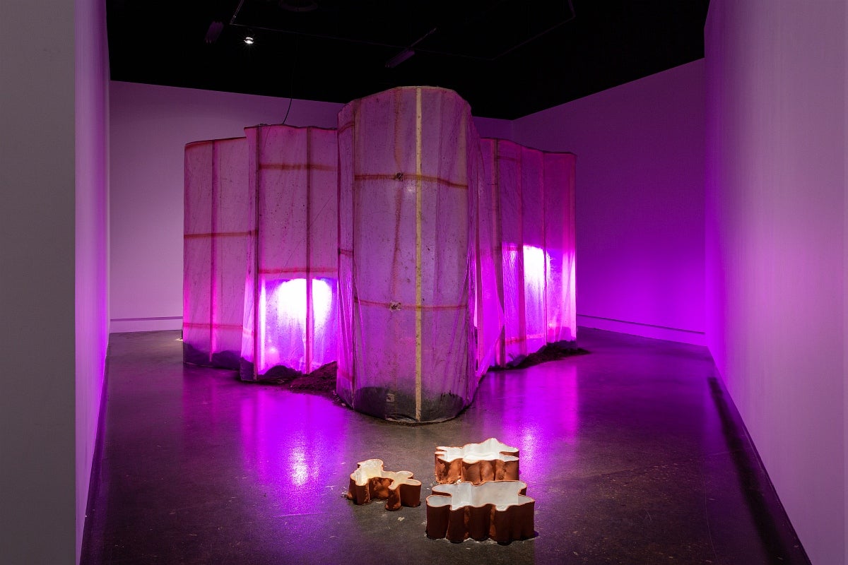 Installation in gallery with magenta lighting. In centre, an irregular shaped room of wood and plastic sheeting, in front 3 clay
