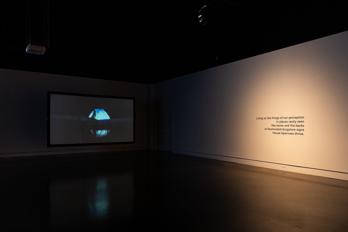 Video exhibition in dark gallery.  Video on back wall of glowing blue tent by water. Wall on right had spot lit text "Living on 