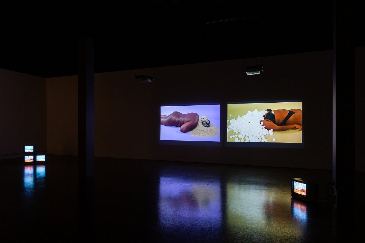 Video exhibition in dark gallery. Small monitors on floor show tropical scenery. Videos on wall show person lying on the floor w