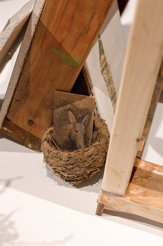 Detail of an assemblage of wood with a bird's nest containing as small, coloured drawing of a donkey's head.