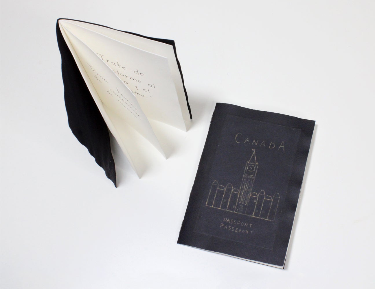2 small handmade books standing up & lying flat, cover reads Canada Passport Passeport with line drawing of parliament building