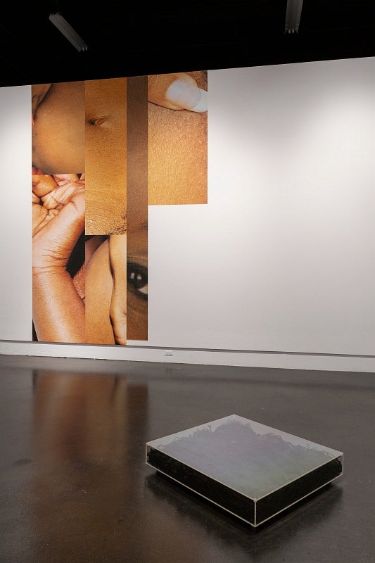 Art exhibition in gallery. Large scale photographs on walls depict details of a black woman's body. On floor, low plexiglass box