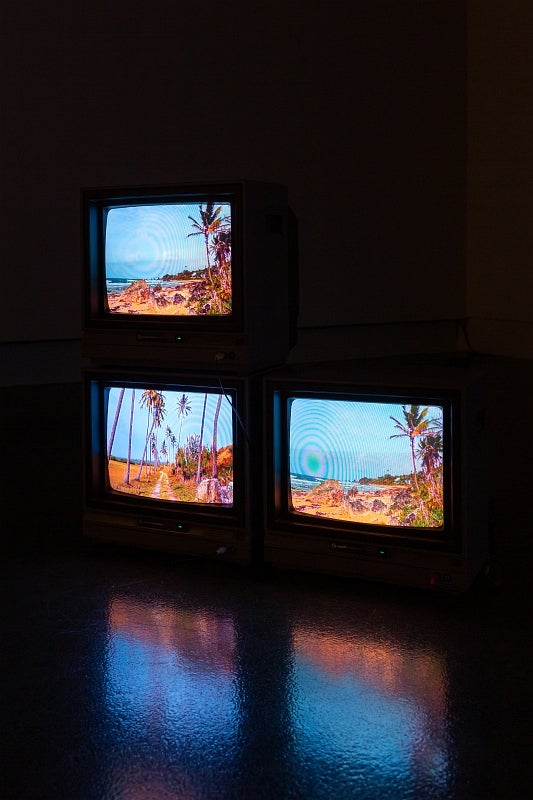 Video exhibition in dark gallery. Two small monitors on floor with one more stacked on top, all show videos of tropical landscap