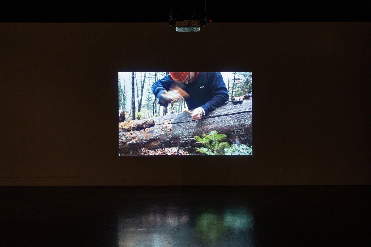 Video exhibition in dark gallery.  Video shows person using hammer and chisel to carve text "NOW" on a fallen tree.