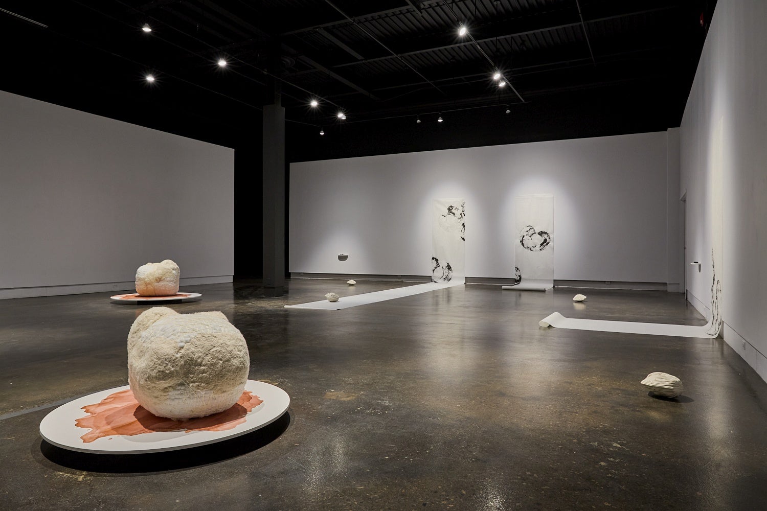 Art gallery installation of large spherical fabric sculptures on circular platforms and charcoal drawings on large scrolls that are hung on the wall and unroll onto the floor.