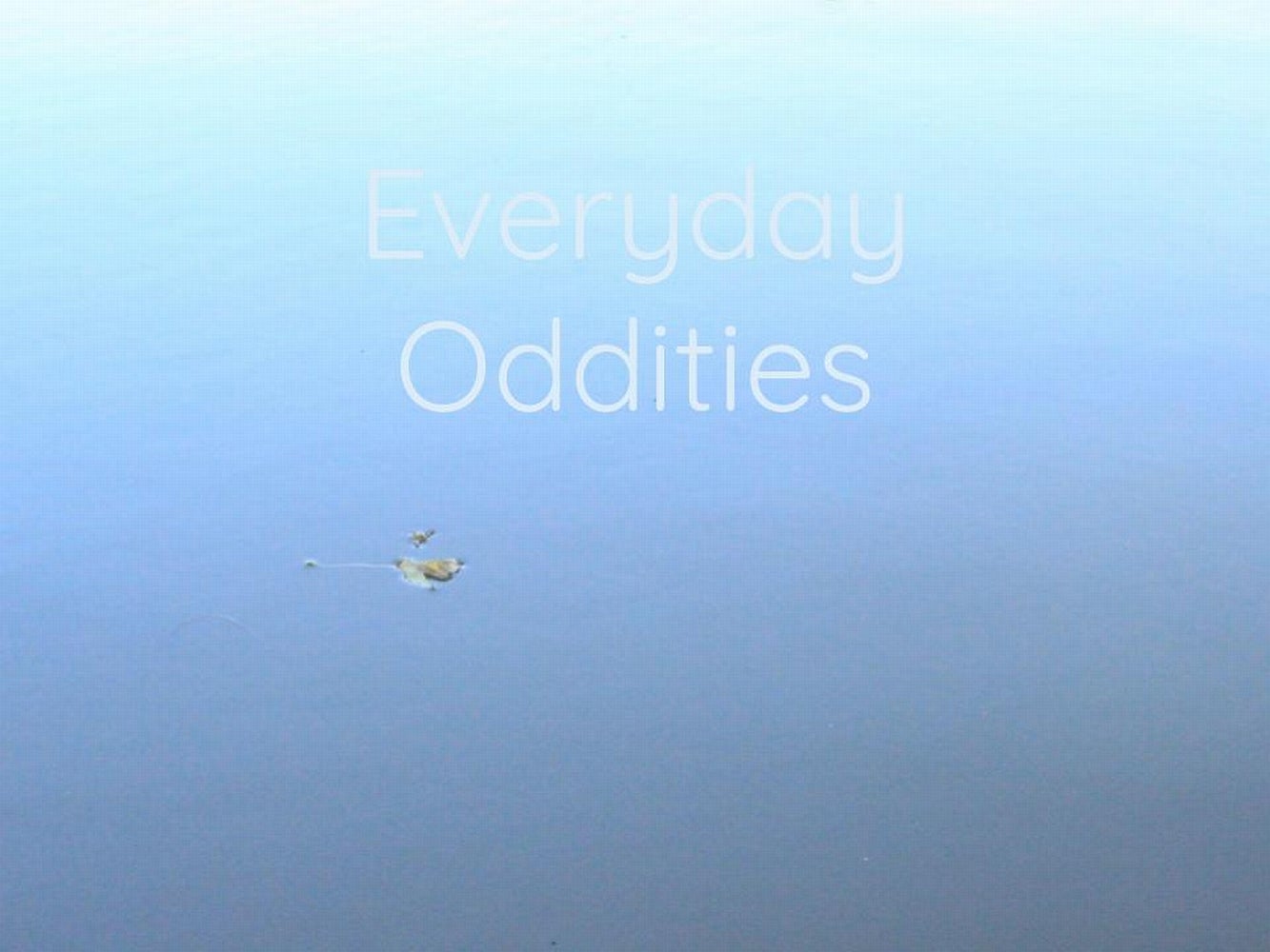 A leaf floats on calm water. Overlaid with text "Everyday Oddities"