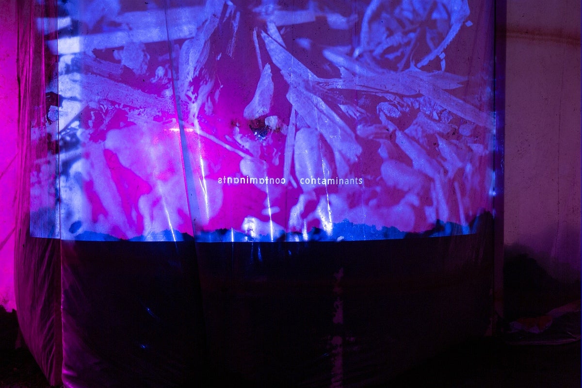 Installation in gallery. Magenta and blue projection of abstracted image and the word "contaminants" shown readable and mirrored