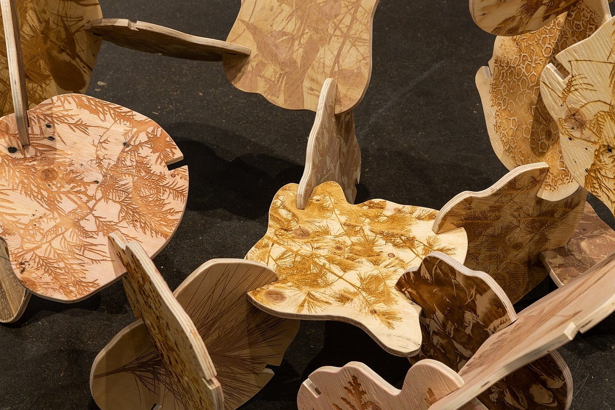 Detail of plywood cutouts with laser-printed images of plants and foliage assembled into a 3-dimentional structure.