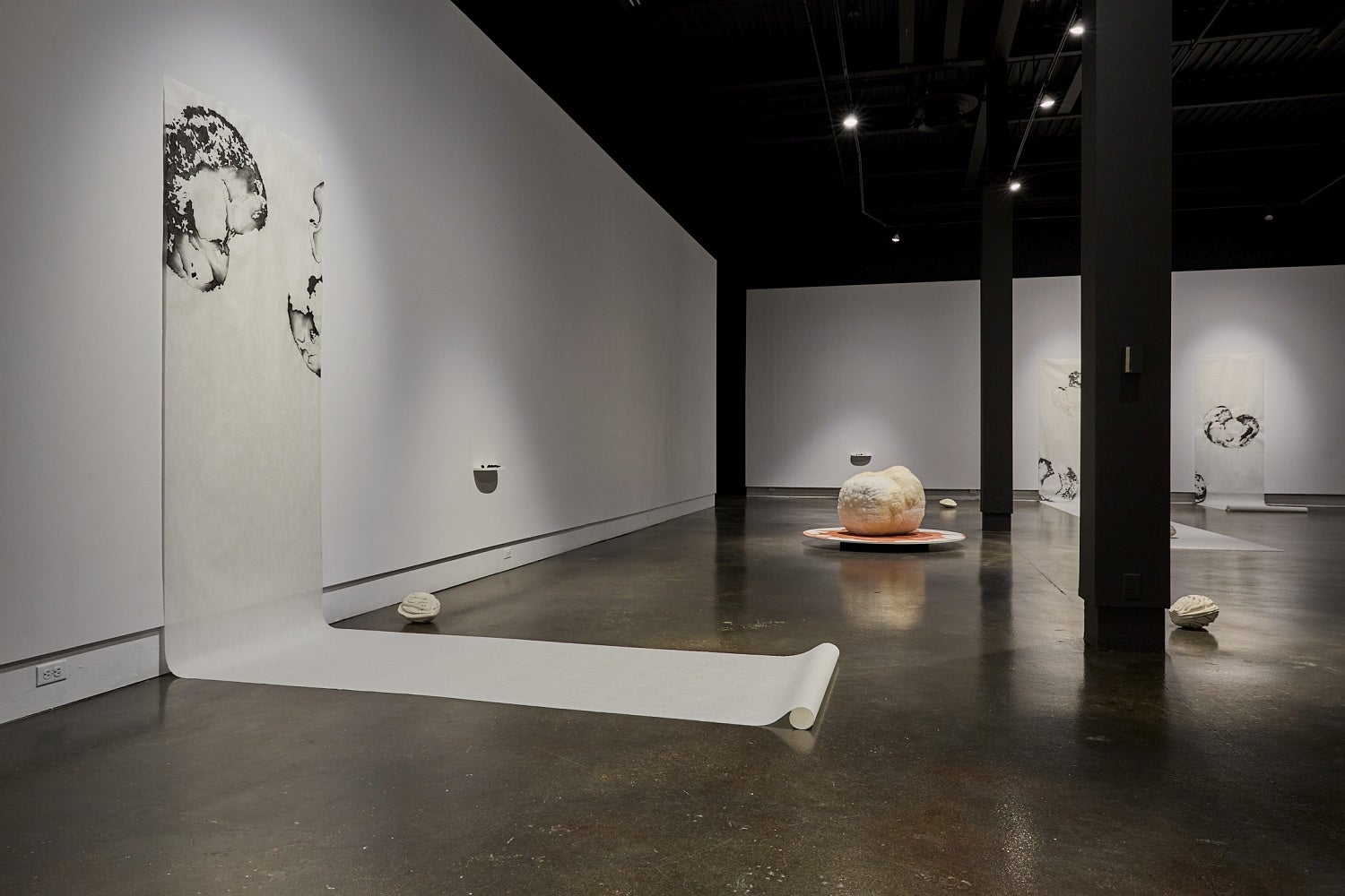 Art gallery installation of large spherical fabric sculptures on circular platforms and charcoal drawings on large scrolls that are hung on the wall and unroll onto the floor.
