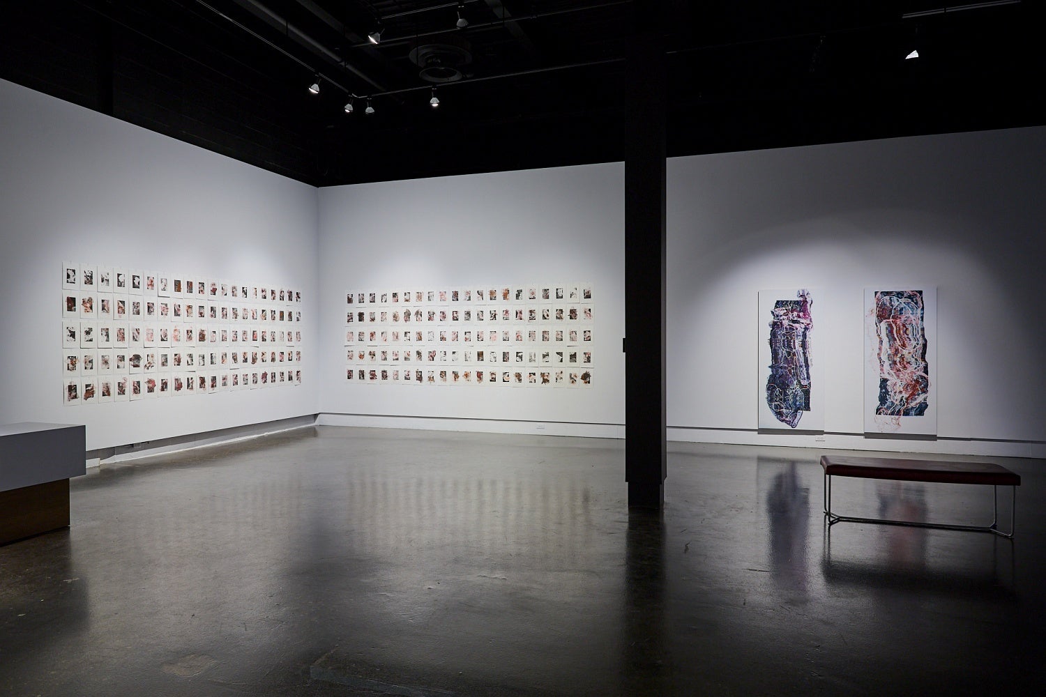 Art gallery installation of large scale prints of distorted medical scans and smaller prints depicting medical waste that are hung in two grids with 100 prints each.