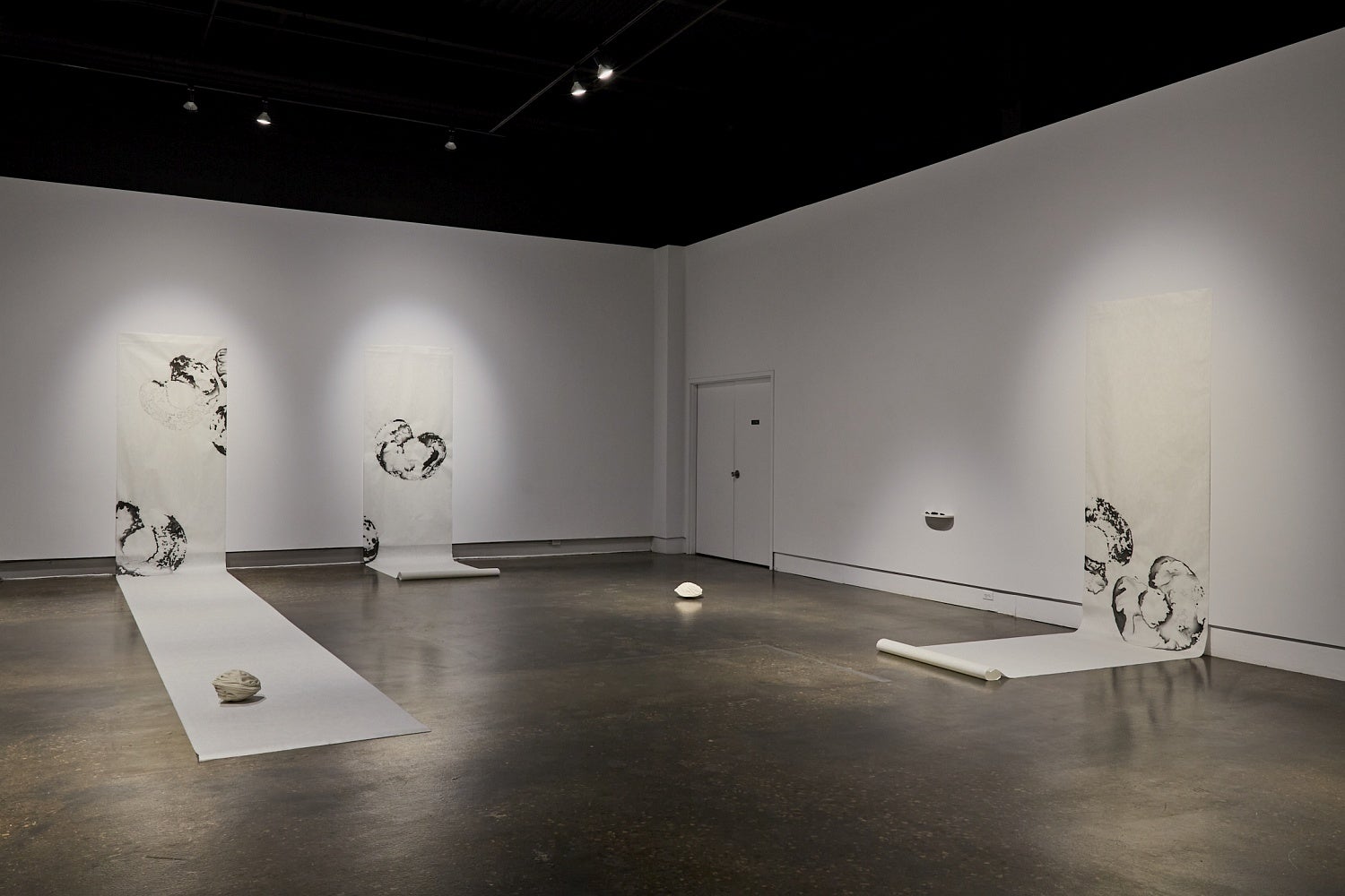 Art gallery installation of large scrolls with charcoal drawings of circular shapes hang on the wall and unroll onto the floor.